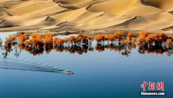 以审计促责任 以制度护生态——《领导干部自然资源资产离任审计规定（试行）》的深度解读与生态环境治理意义