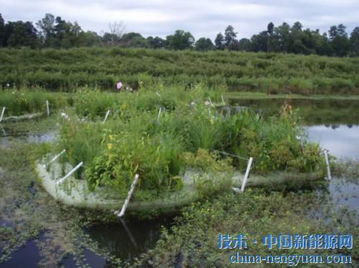 废旧塑料变身生态小岛 环保材料的生态奇迹
